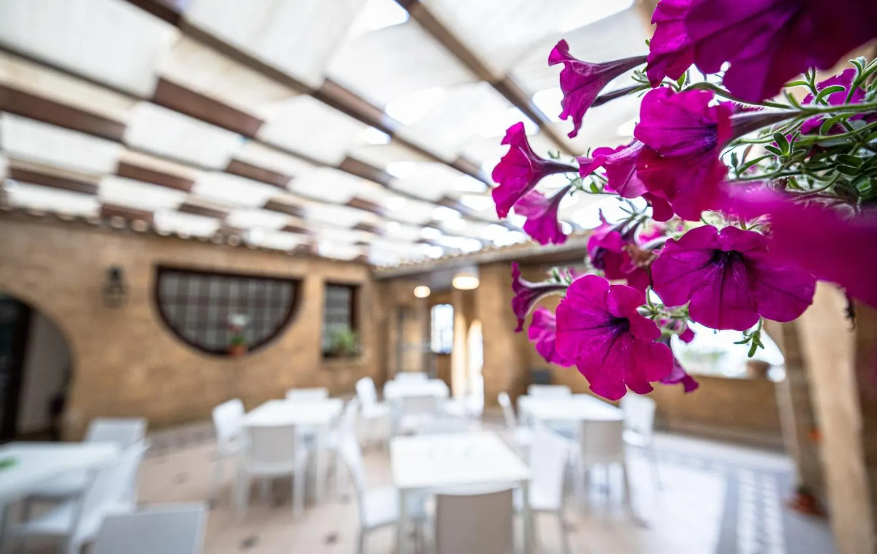 La Rosa Hotel - Selinunte Marinella di Selinunte